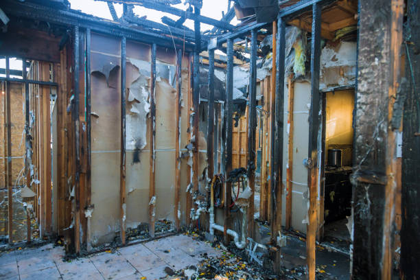 Professional Fire Damage Repair technician working in Iraan, TX